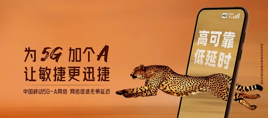 修文修文县六屯镇 移动宽带